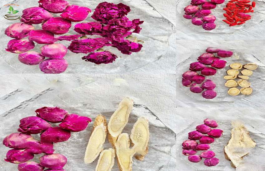 giá và địa chỉ bán trà hoa ẫu đơn