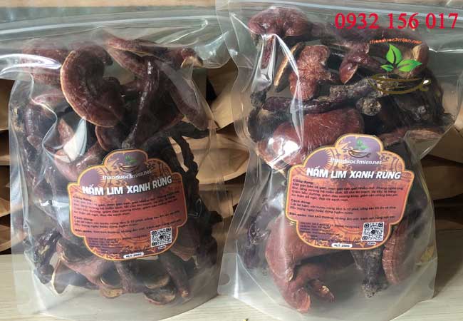 giá cả và địa chỉ mua nấm lim xanh rừng