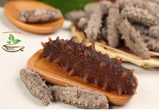 giá hải sâm