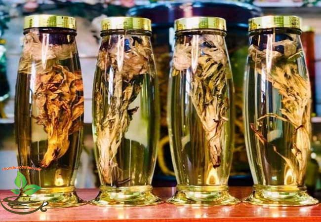 Giá hoa thiên sơn tuyết liên