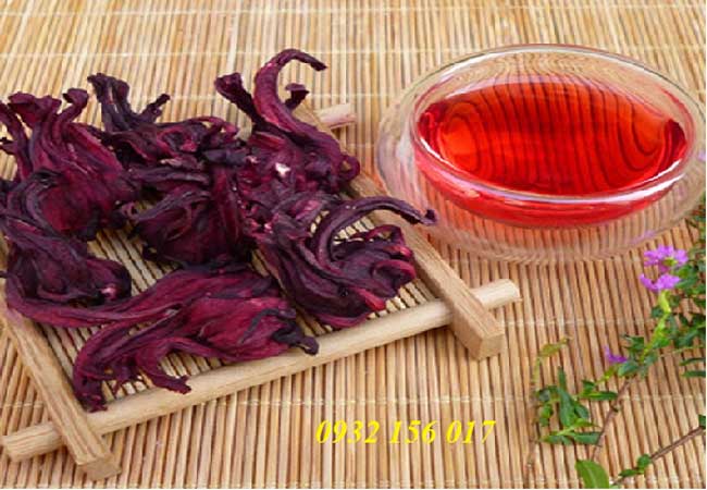 Giá atiso đỏ