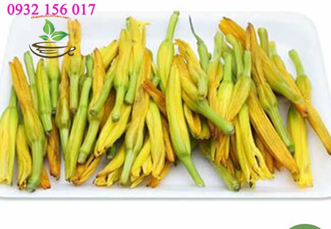 giá và địa chỉa bán hoa kim châm