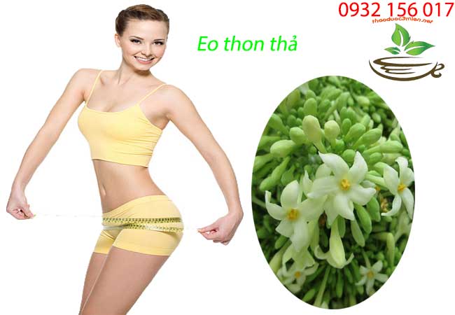 Giảm cân từ hoa đu đủ đực