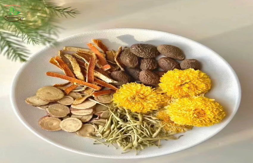 hướng dẫn cách sử dụng hạt đười ươi bay