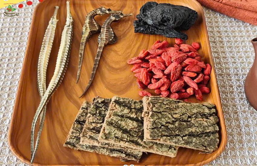 hướng dẫn ngâm bình rượu cá ngựa