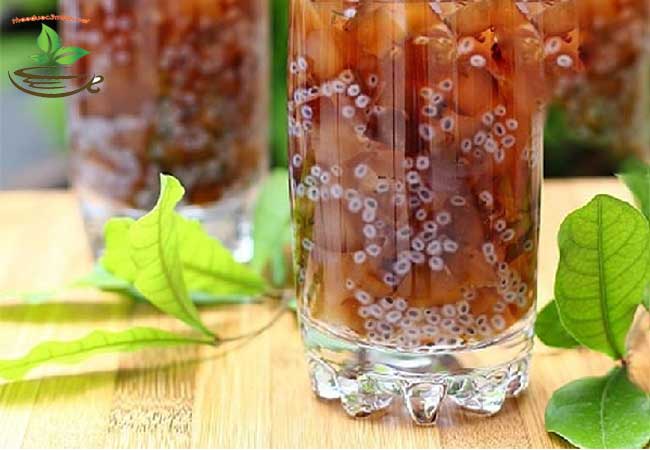hạt đười ươi trị ho viêm hong amidan