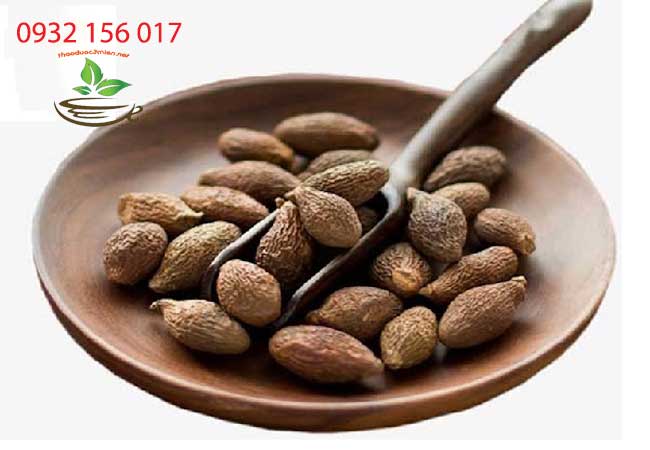 hạt ươi trị mụn và chảy máu cam