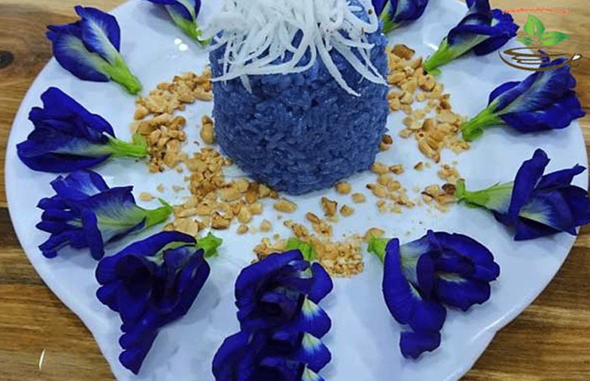 hoa đậu biếc công dụng