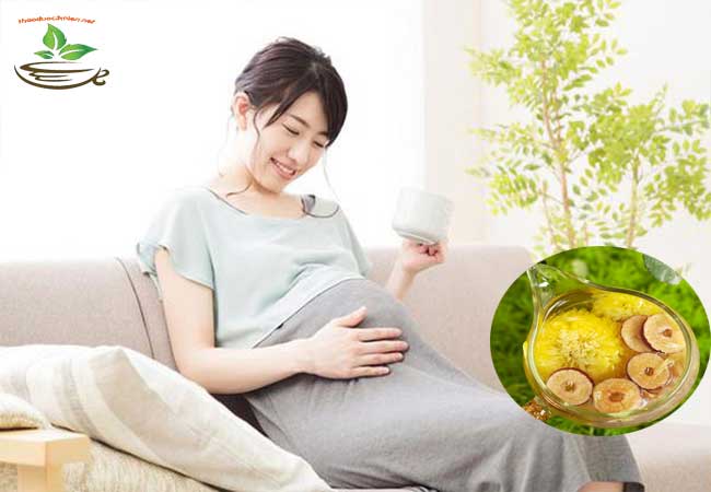 Hoa cúc có tốt cho bé và lợi sữa