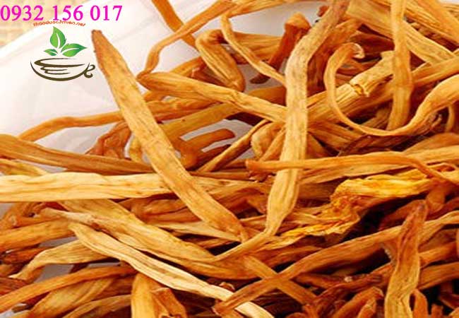 hướng dẫn cách dùng hoa kim châm