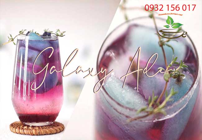 Hướng dẫn dùng atiso đỏ hibiscus bụp giấm