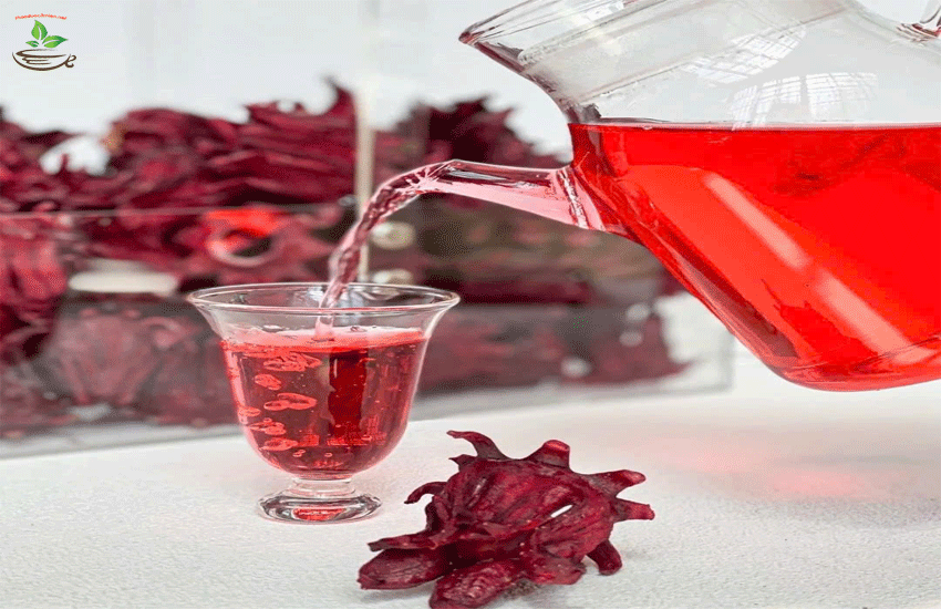 lợi ích atiso đỏ