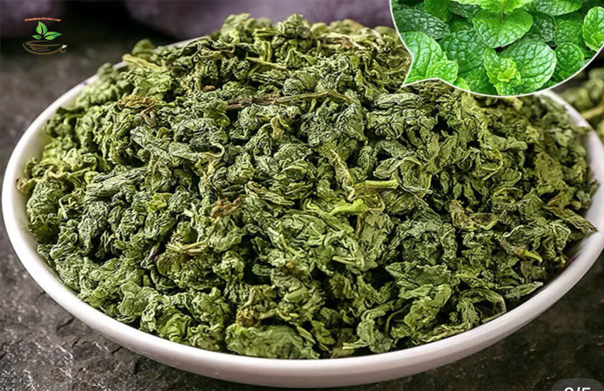 lợi ích chính của việc uống lá bạc hà