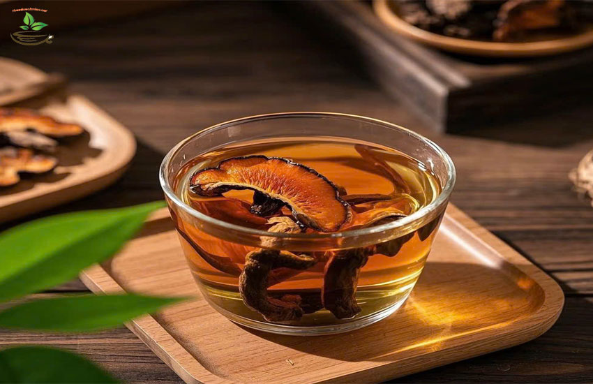 lợi ích của việc uống nấm linh chi mỗi ngày