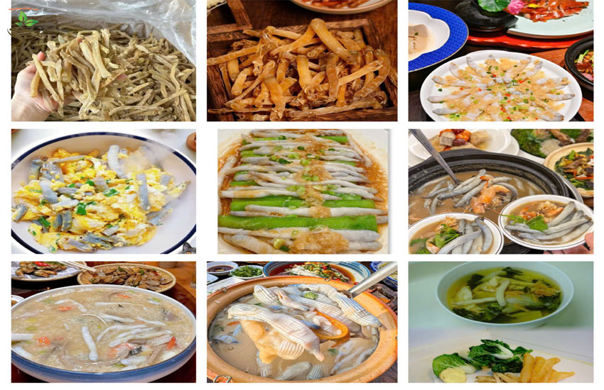 món ăn từ sá sùng