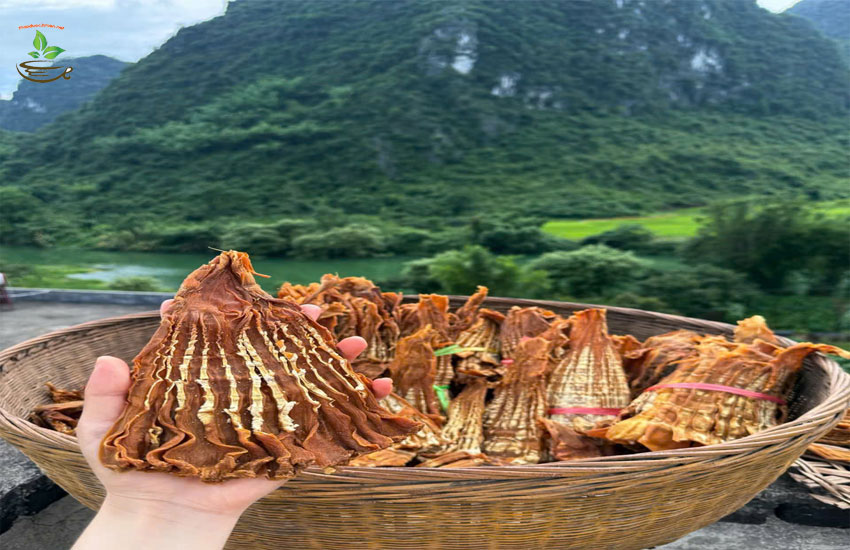 món ngon từ măng