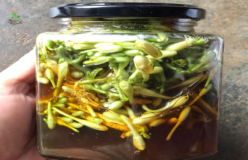 ngâm mật ong ho đu đủ đực trị ho