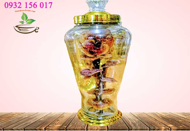 ngâm rượu nấm lim xanh rừng