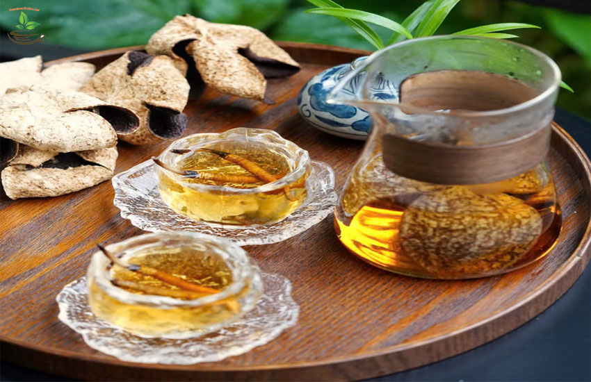 những công dụng của đông trùng hạ thảo