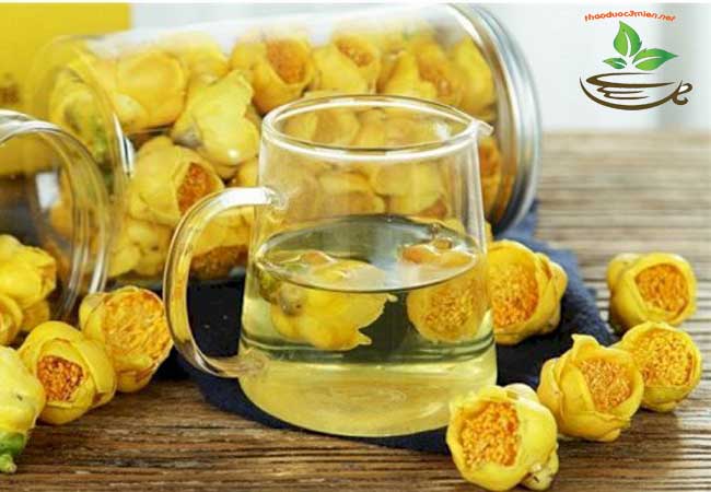 những công dụng của trà hoa vàng