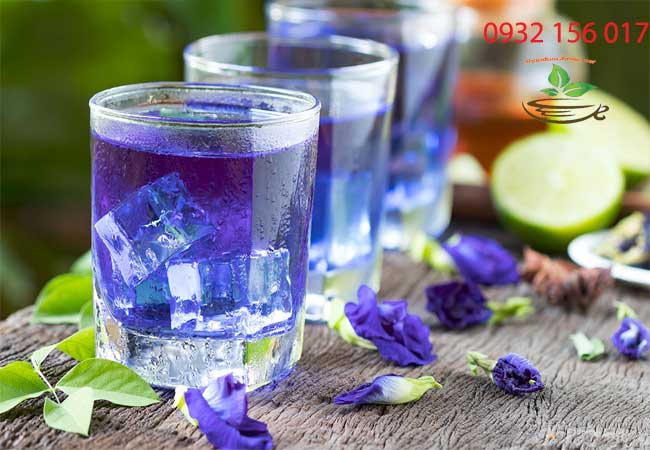 Những tác dụng của hoa đậu biếc