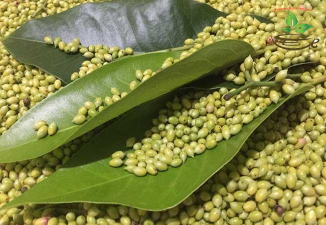 nụ vối giảm cân
