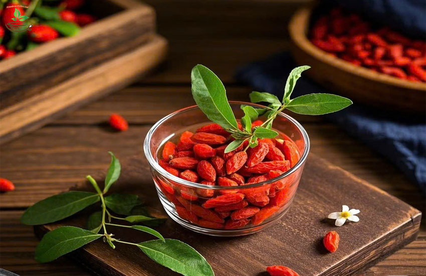 phụ nữ và trẻ em có dùng câu kỷ tử