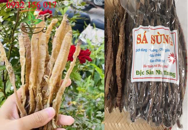 phân biệt sá sùng