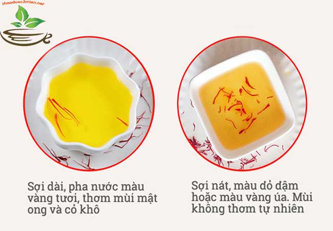 Phân biệt thật giả nhụy hoa nghệ tây