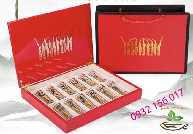quà tặng đông trùng hạ thảo