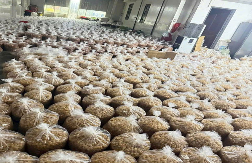 sấy long nhãn hưng yên