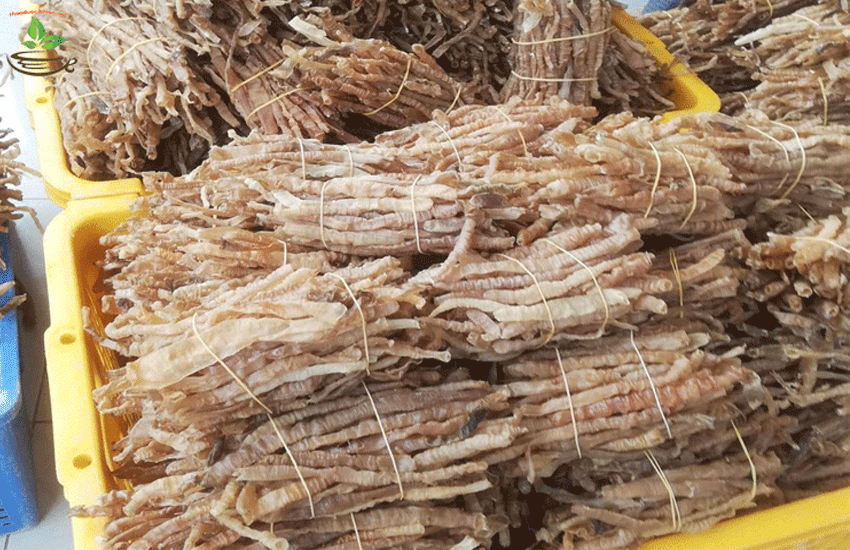 sá sùng khô