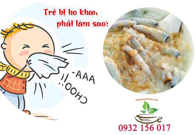 sá sùng trị ho