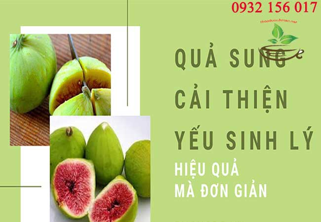 quả sung trị yếu sinh lý