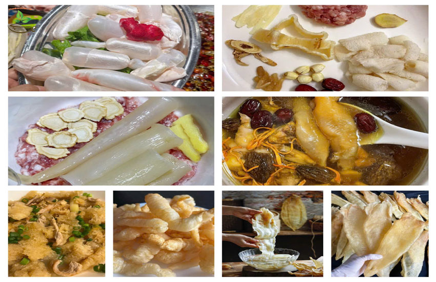 tác dụng của bong bóng cá