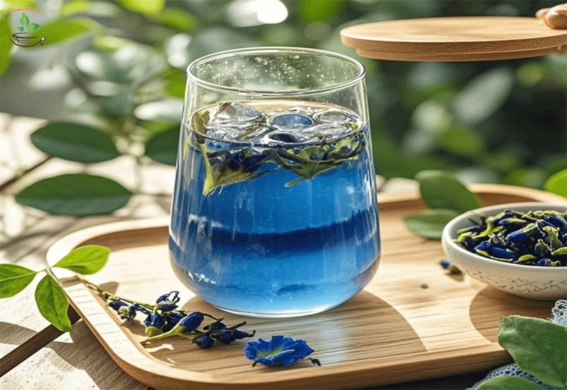 tác dụng của hoa đậu biếc