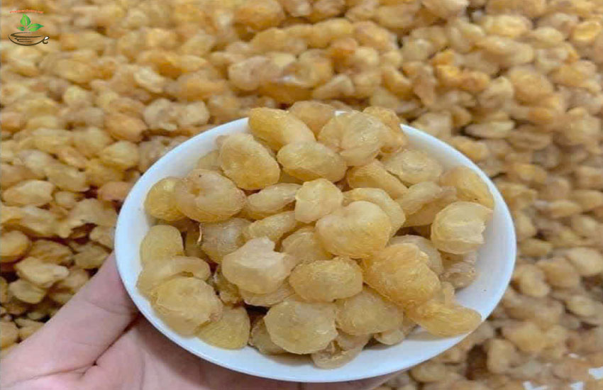 tác dụng chính long nhãn hưng yên