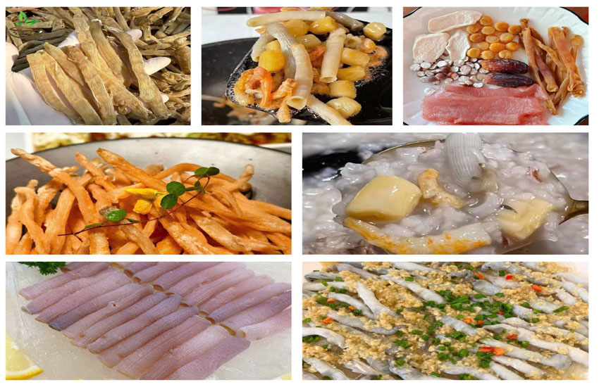 tác dụng sá sùng và cách dùng