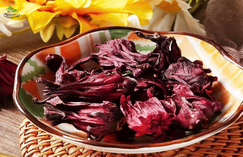 tác dụng chính atiso đỏ