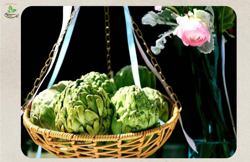 tác dụng chính của atiso đà lạt