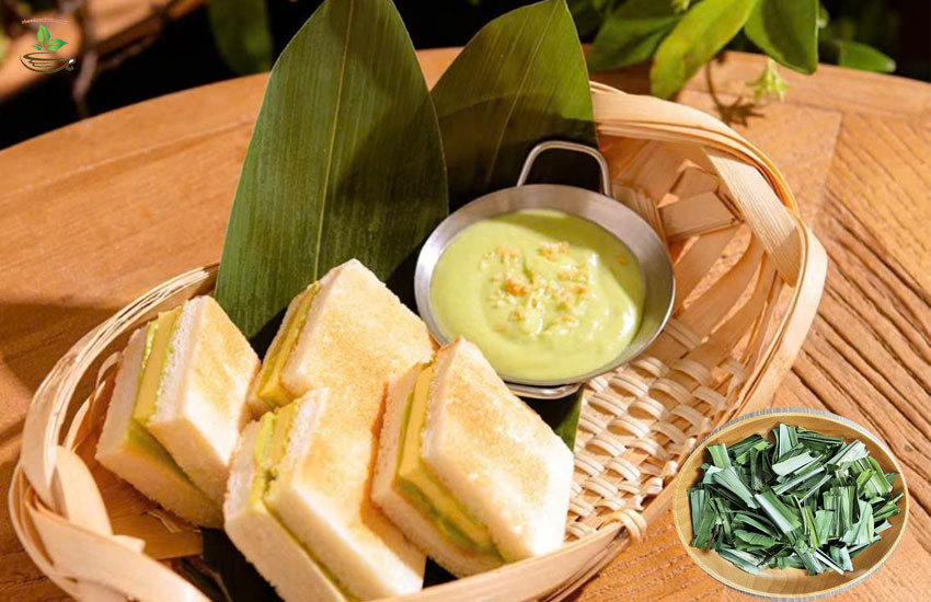 tác dụng và cách dùng lá nếp