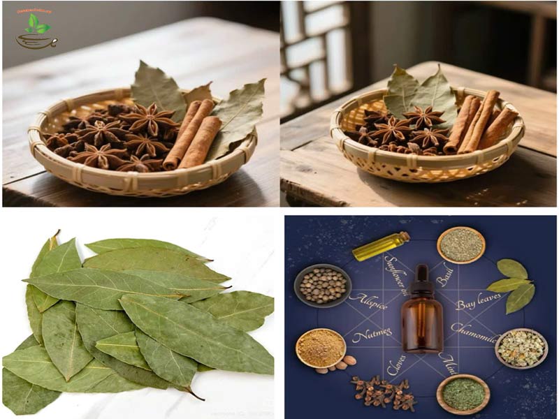 tác dụng của lá nguyệt quế