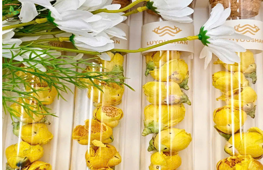 tác dụng trà hoa vàng