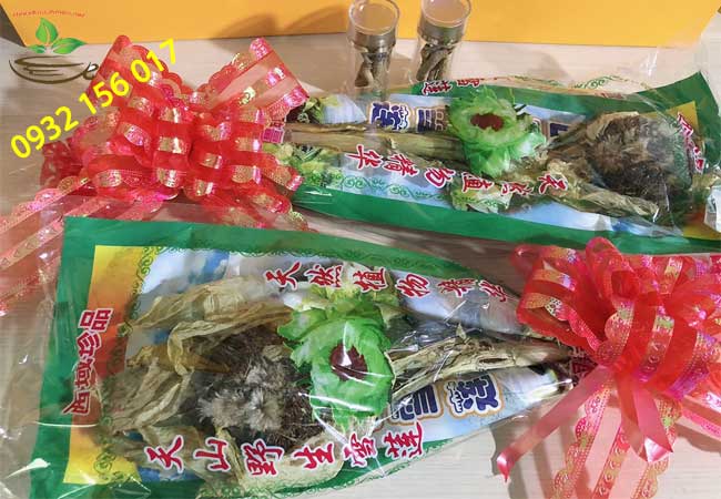 Hoa thiên sơn tuyết liên tác dụng của bông thiên sơn tuyết liên