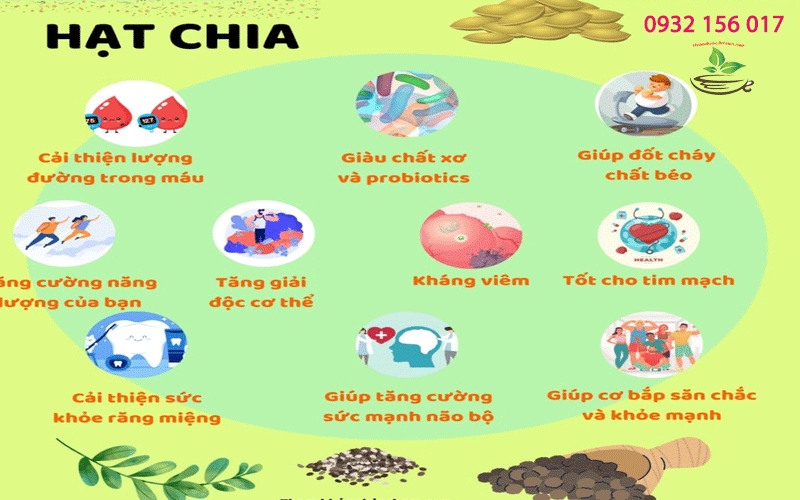 Hạt chia Úc tác dụng của hạt chia