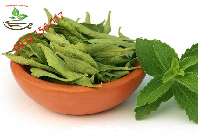 Tác dụng chính của cỏ ngọt
