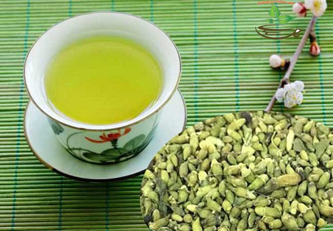 Tác dụng chính của hoa hòe