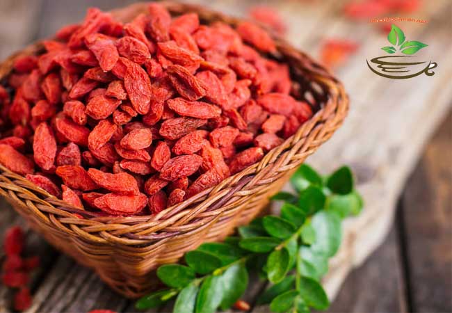Tác dụng của hạt câu kỷ tử