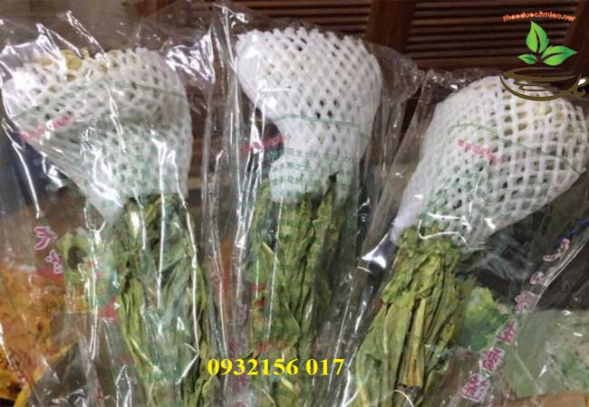 Tác dụng trị bệnh của hoa thiên sơn tuyết liên