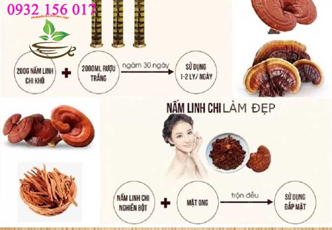 tác dụng của nấm linh chi